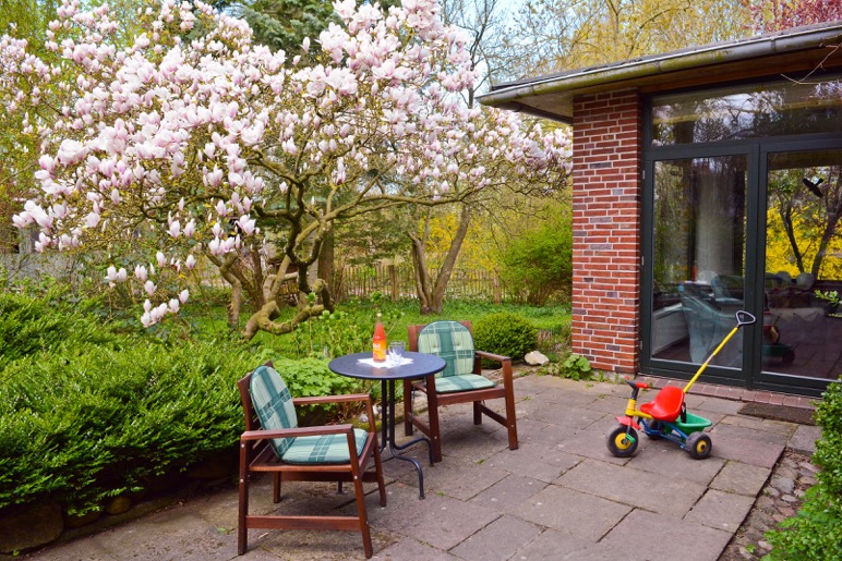 Hinter dem Haus befindet sich ein herrlicher Garten mit einer großen Magnolie