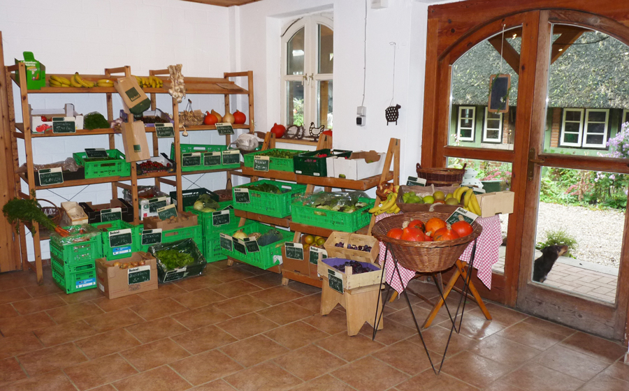 Ein buntes Sortiment an frischen Obst und Gemüse