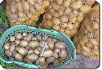 Kartoffeln